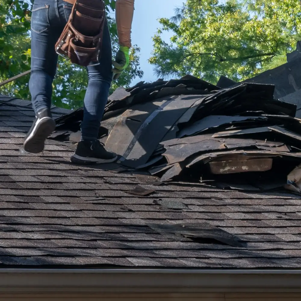Roofing Whangarei expert removing damaged shingles during urgent roof repairs.