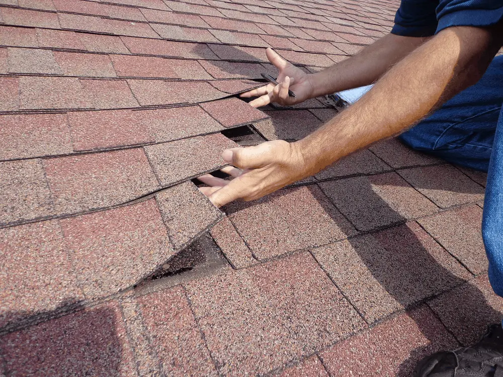 Roofing Whangarei providing professional roof inspections to identify lifted or damaged shingles.
