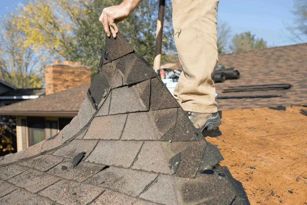 Team of roofers working on shingle replacement during extensive Roofing Whangarei roof repairs.